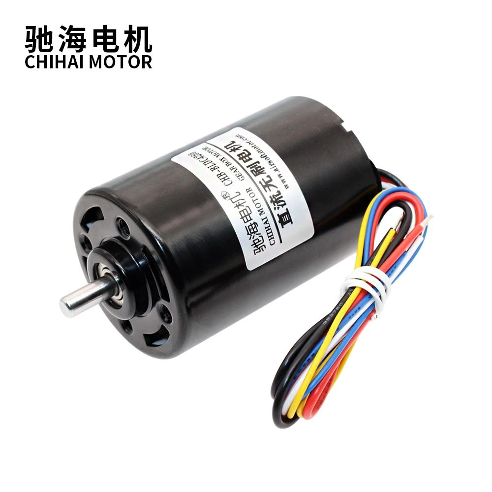 Brushless Permanent Magnet DC Motor With Built-in Drive