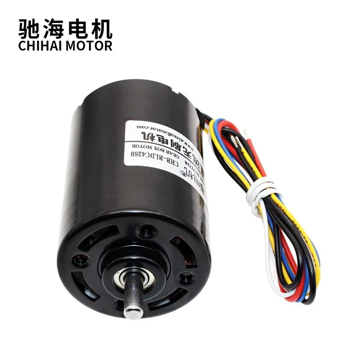 Brushless Permanent Magnet DC Motor With Built-in Drive